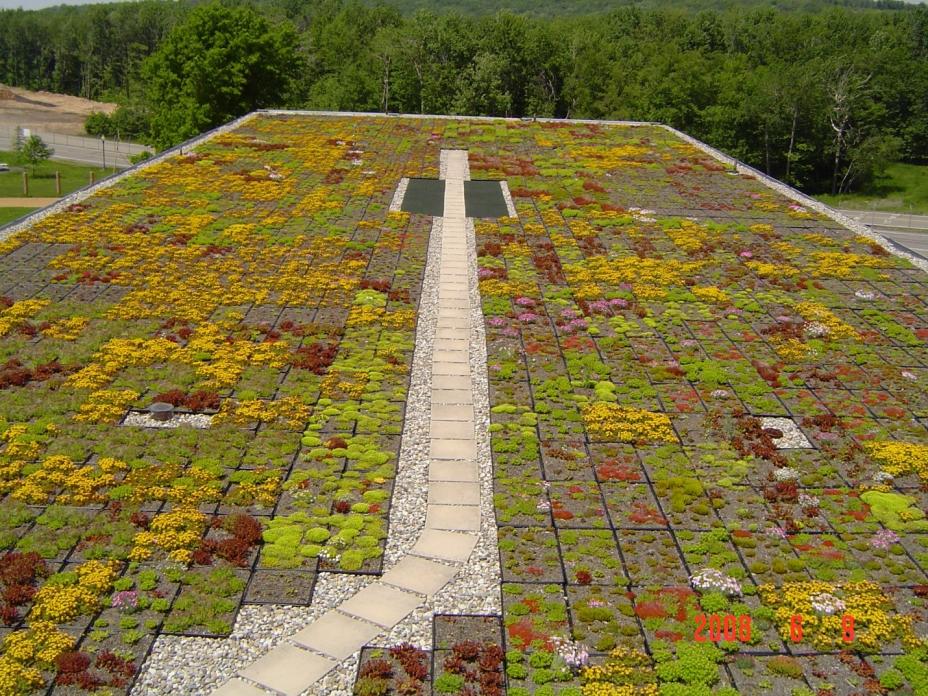 A green roof on Wing A of the Tobyhanna Army Depot