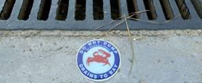 This photo shows a stormwater drain with a "Do Not Dump, Drains to Bay" marker.