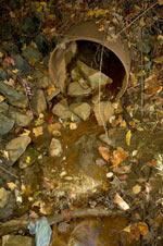 Photo showing runoff from a sewer pipe into a stream.