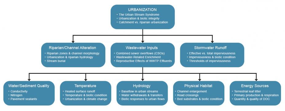 Urbanization Module Flowchart