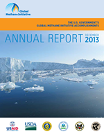 U.S. Government's GMI Accomplishments 2013 Annual Report cover