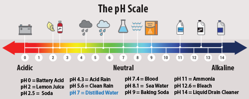 A diagram showing where various substances fall on the pH scale.