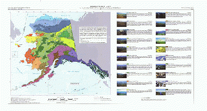 Original Level III Ecoregions of Alaska--map and descriptions front side