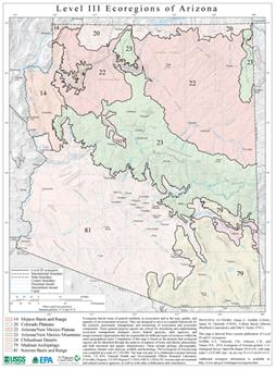 Level III Ecoregions of Arizona--page size