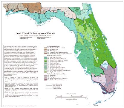 Level III and IV Ecoregions of Florida