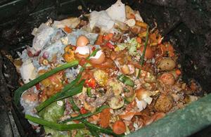 Picture of food wastes.