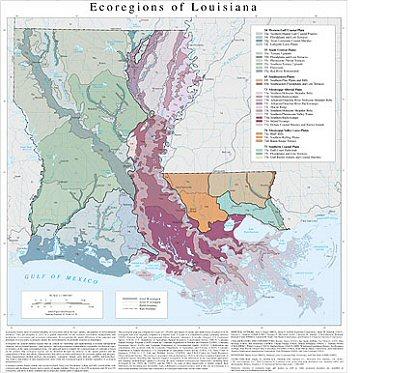 Level III and IV Ecoregions of Louisiana- map