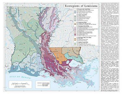Level III and IV Ecoregions of Louisiana- page sized map