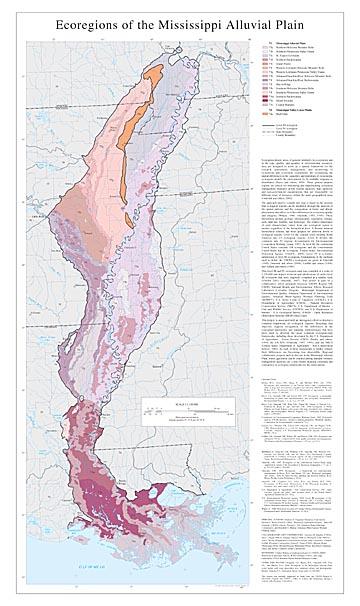 Level III and IV Ecoregions of the Mississippi Alluvial Plain