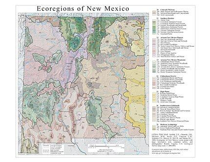 Level III and IV Ecoregions of New Mexico- page sized map