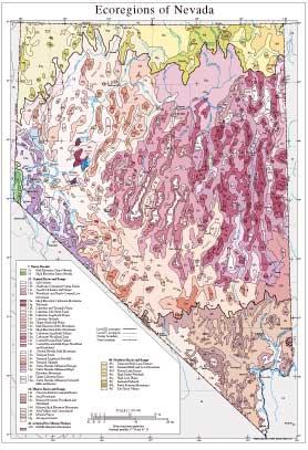 Level III and IV Ecoregions of Nevada--page size