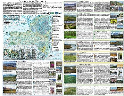 Level III and IV Ecoregions of New York-- poster front side
