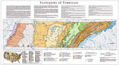Level III and IV Ecoregions of Tennessee