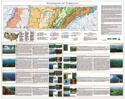 Level IV Ecoregions of Tennessee--poster front side
