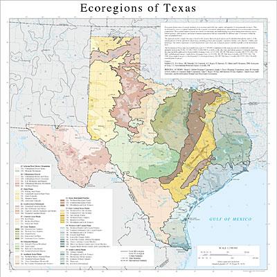 Level III and IV Ecoregions of Texas