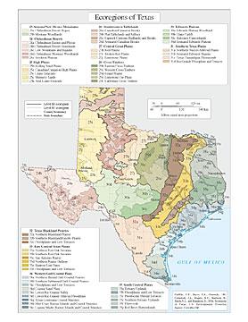 Level III and IV Ecoregions of Texas--page size