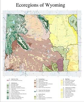 Level III and IV Ecoregions of Wyoming--page size
