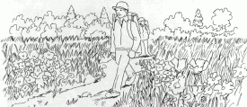 Man walking through field
