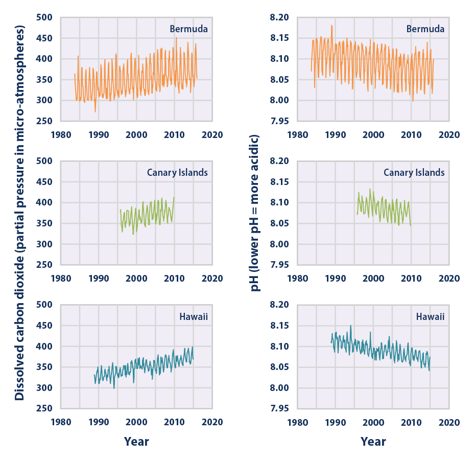 Line graphs showing levels of dissolved carbon dioxide and pH measurements at three ocean stations from 1983 to 2015.