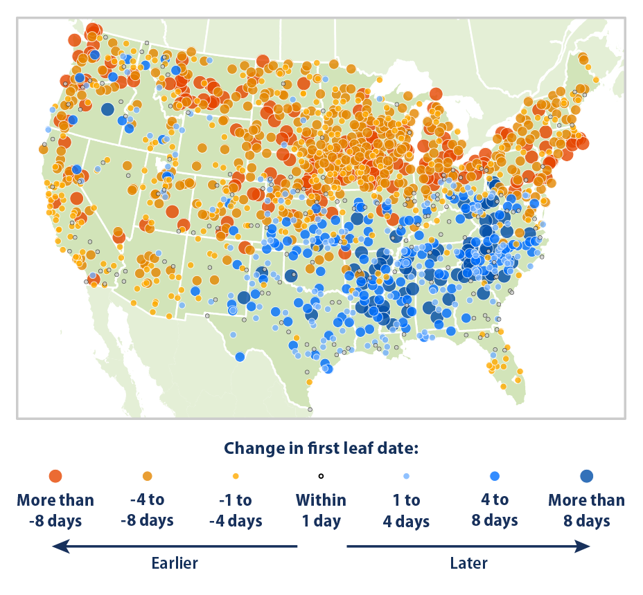 Map showing the change in first leaf dates at weather stations across the contiguous 48 states. This map compares the average first leaf date during two 10-year periods: 1951-1960 and 2006-2015.