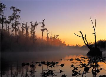 Image of sunset over a wetland with geese. 