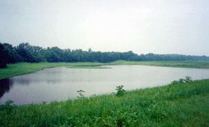 Restored wetlands at the site