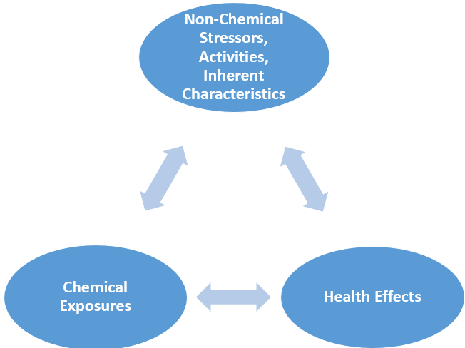 Diagram 1. Chemical exposures and health effects are influenced and modified by non-chemical stressors, activities, and inherent characteristics.