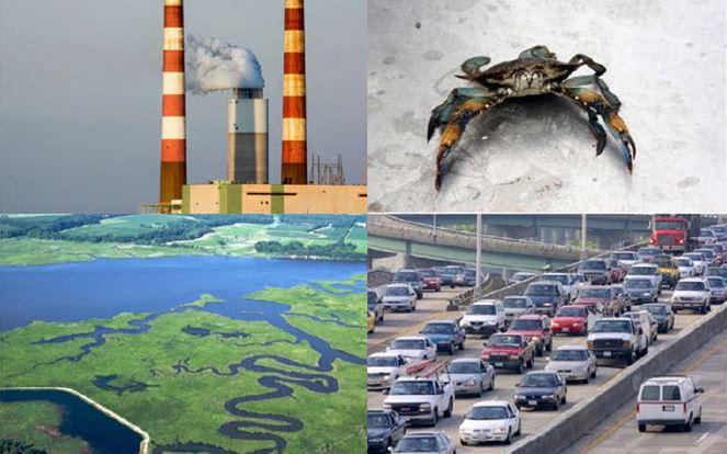 Four pictures from the chesapeake bay watershed: a marsh, a powerplant, an interstate highway, a blue crab