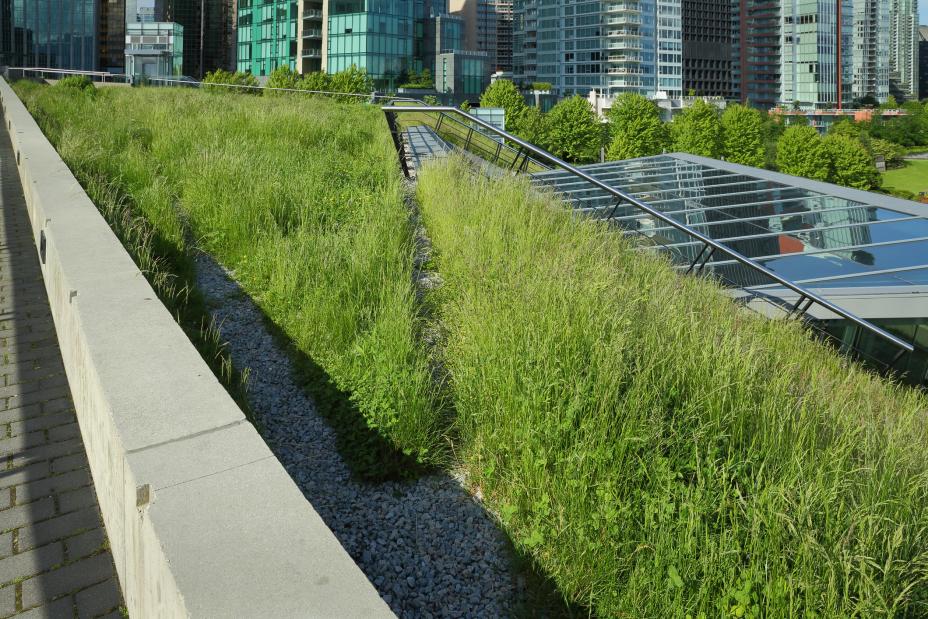 Picture showing an example of green infrastructure: a green roof