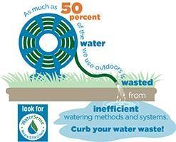 Infographic detailing over watering in the summer