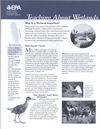 Teaching About Wetlands: Why Is a Wetland Important?