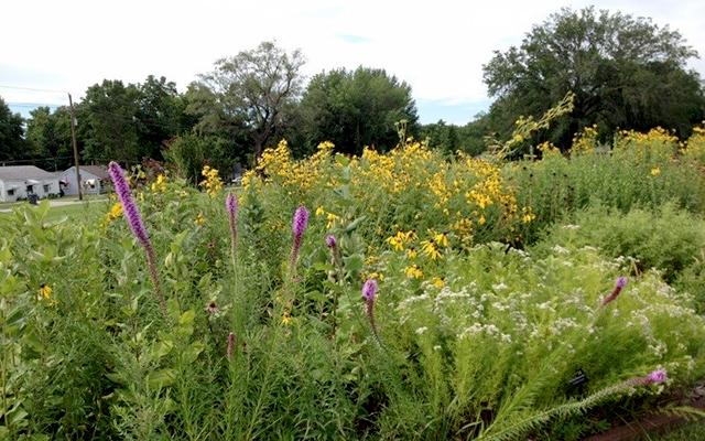 Image of habitat garden on former hazardous waste site in Kansas