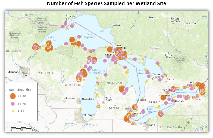 Map of Number of Fish Species per Wetland Site