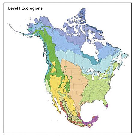 Level I Ecoregions