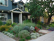 Image of a home with water saving plants.
