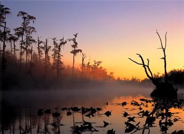 Image of Okefenokee NWF, Georgia.  