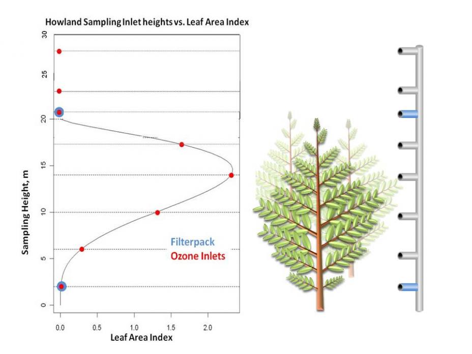 Profile of the in-canopy Leaf Area Index with height, showing the heights of the ozone inlets and the filterpacks at the Howland site