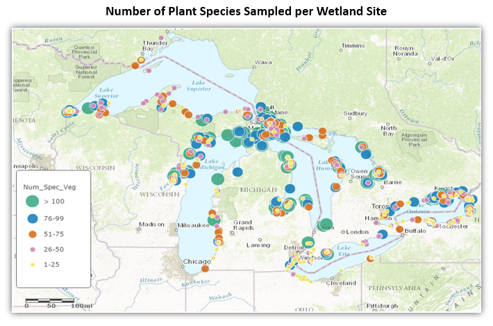 Map showing the number of plant species surveyed per wetland site