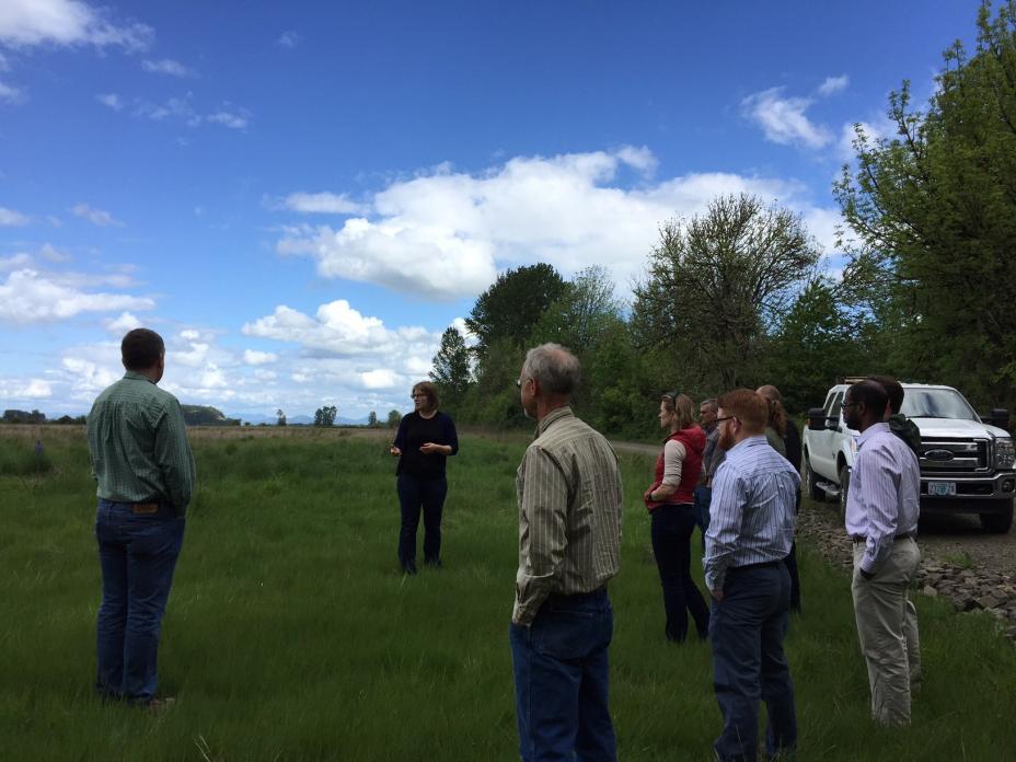 Farmers, EPA officials, and university colleagues stand in a field and talk with each other