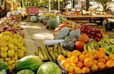 Fresh food in bins at a farmers market