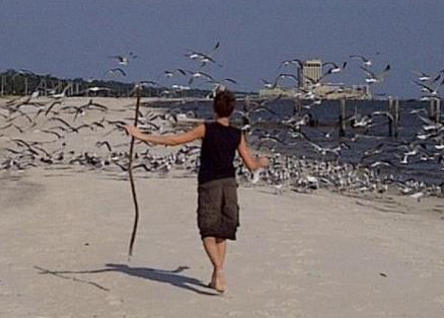 Child walking along beach with seagulls