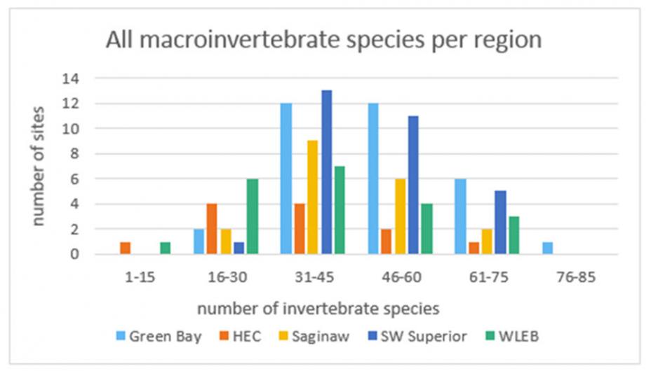 Macroinvertebrate species per region