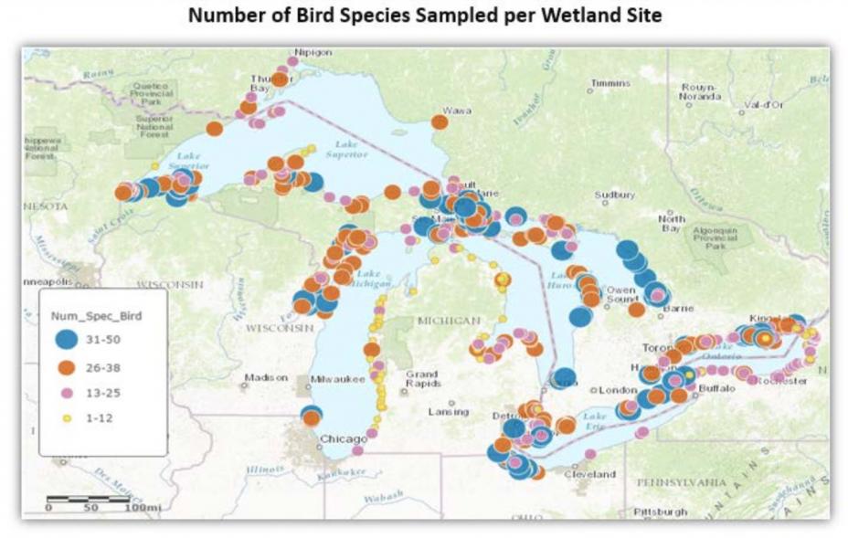 Map of Number of Bird Species per Wetland Site