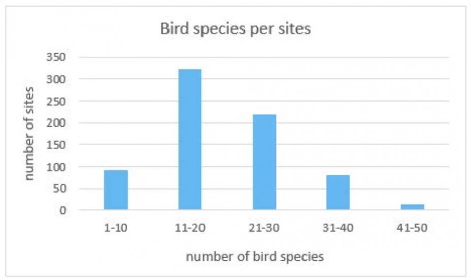 Bird species per sites