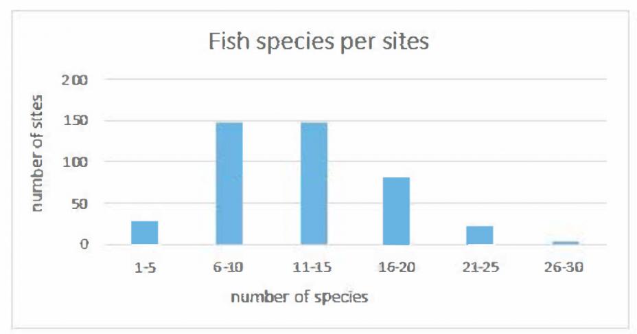 Fish species per site chart