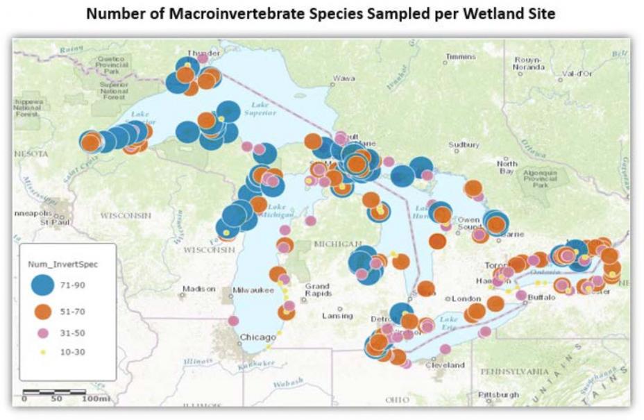 Map of Number of Macroinvertebrate Spec