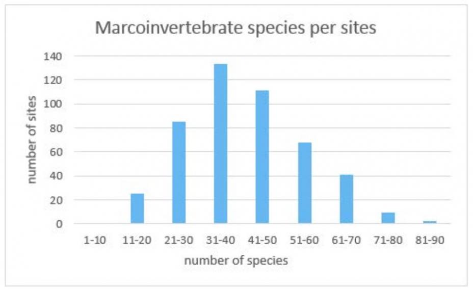 Macroinvertebrate species per region