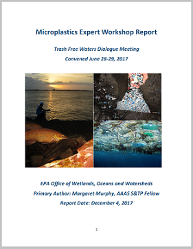 Microplastics Expert Workshop Report