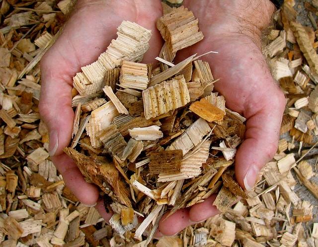 This is a picture of a pair of hands holding wood chips. The man's hands are full of them, and the chips are also underneath, comprising the whole background of the photo.