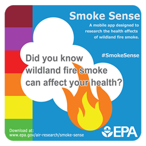 A three inch Smoke Sense infographic to be used on social media.